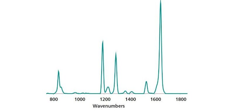 Standard reference SERS Au NP spectrum of paraquat.