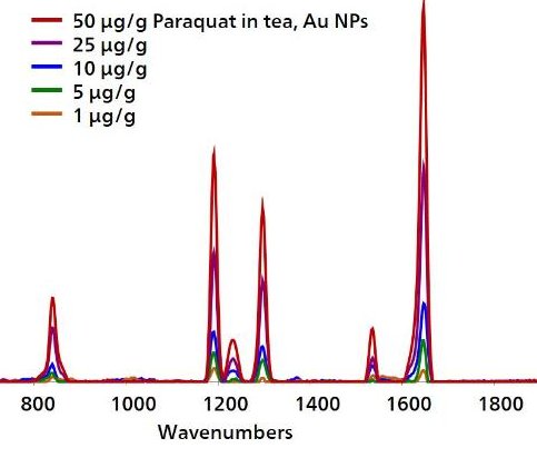 Espectros SERS para un rango de concentración de paraquat en té.