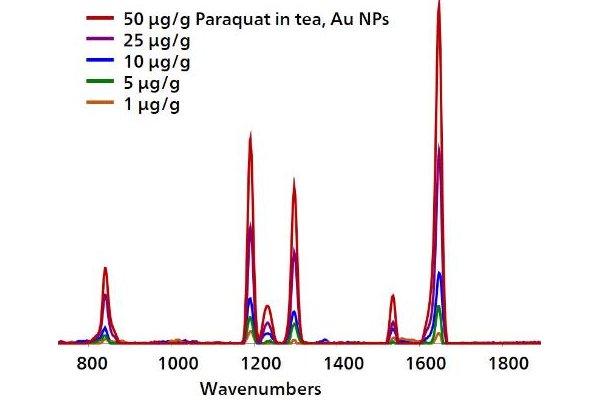 Espectros SERS para un rango de concentración de paraquat en té.