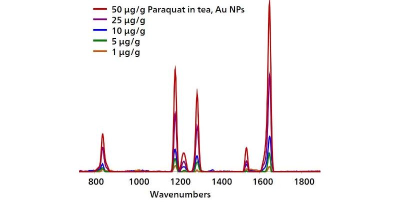 SERS spectra for a concentration range of paraquat in tea.