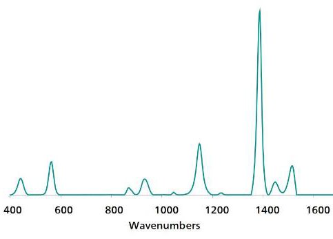 Standard SERS reference spectrum of thiram.