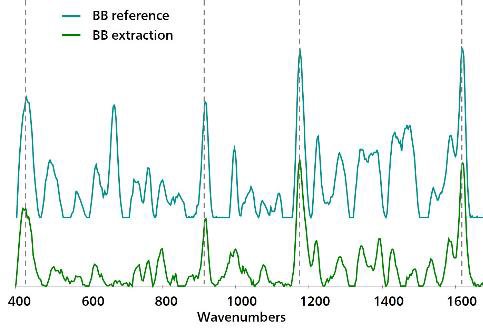 Una comparación del espectro de referencia de Au NP para BB con el espectro de BB obtenido después de la extracción con cloroformo.