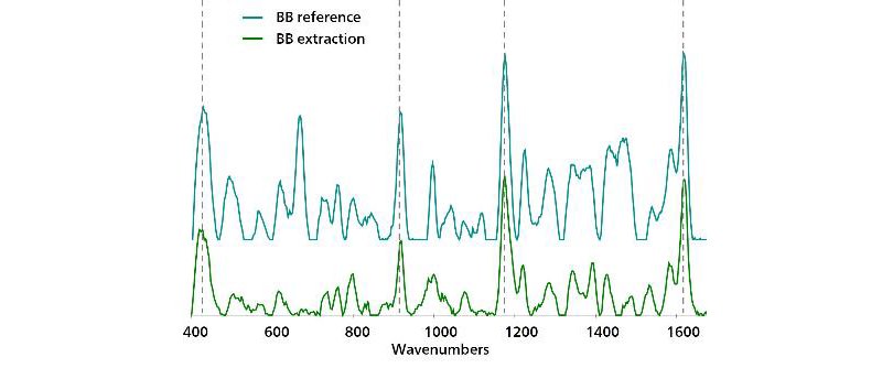 Una comparación del espectro de referencia de Au NP para BB con el espectro de BB obtenido después de la extracción con cloroformo.