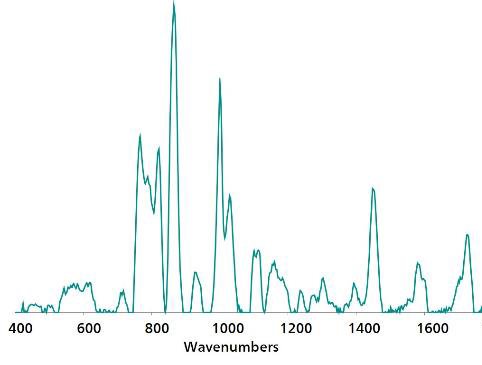 Standard Au NP SERS reference spectrum of malathion.