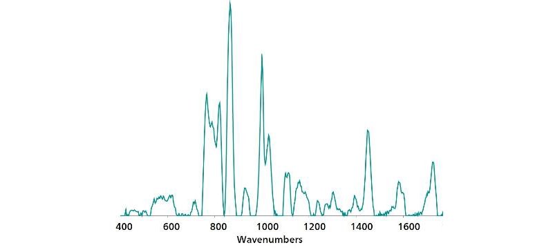 Standard Au NP SERS reference spectrum of malathion.