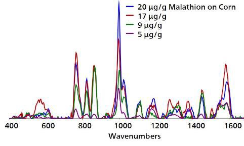 Gli spettri sovrapposti con correzione della linea di base acquisiti da Au NPs mostrano il rilevamento del malathion sui chicchi di mais da campo a 5 μg / g.
