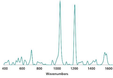 Standard Au NP SERS reference spectrum of fenthion.