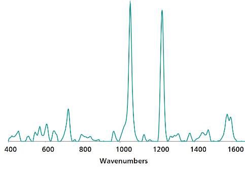 Espectro de referencia estándar Au NP SERS de fentión.
