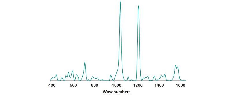 Standard Au NP SERS reference spectrum of fenthion.