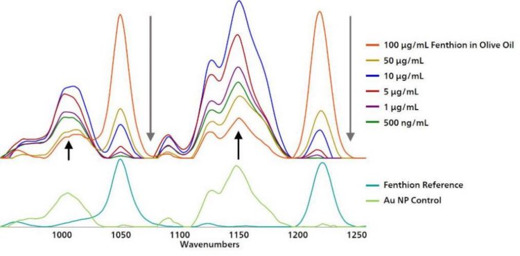 Inverse relationship between fenthion and Au NP SERS substrate signals at very low concentrations