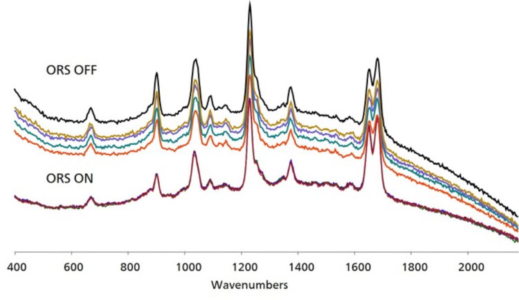 SERS data acquired with the raster ON (bottom) and OFF (top). 