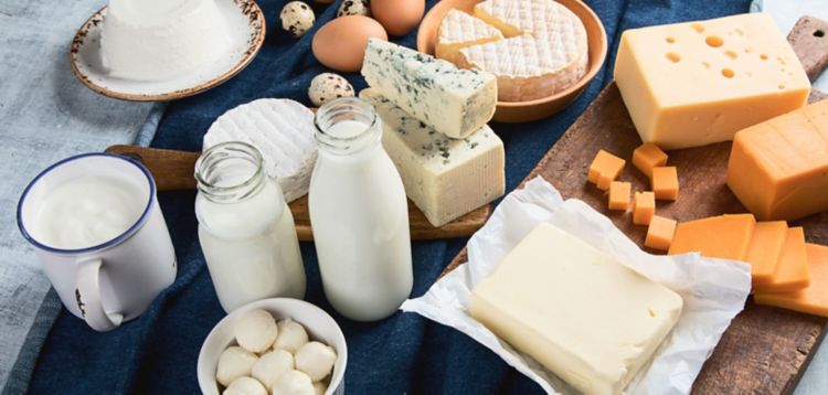 Dairy
