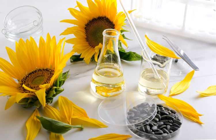 Edible oil analysis: A guide for beginners