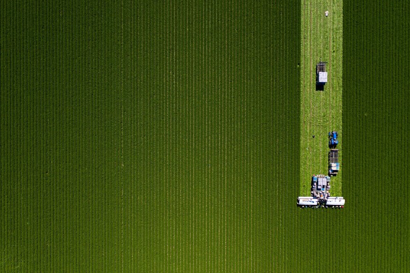 Overhead view of a vast green field being harvested by an agricultural combine.