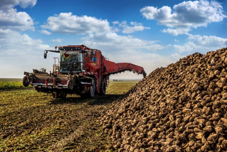 At‑Line QC with NIR: Real‑Time Feedback for Sugar Beet Molasses Testing