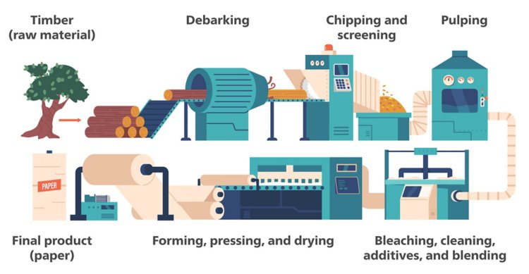 Illustration of the general pulp and paper manufacturing process.