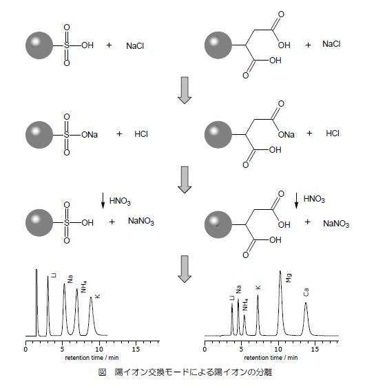 陽イオン交換モードによる陽イオンの分離