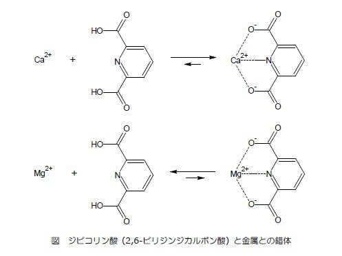 ジピコリン酸と金属との錯体