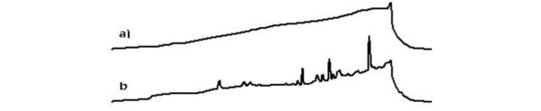 ゴーストピークの代表例