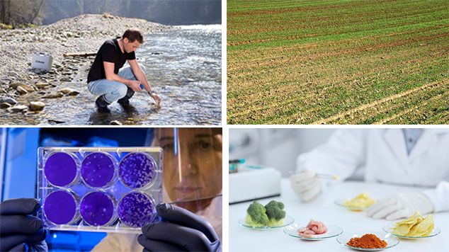 setores da industria: ambiental, agrícola, alimentício e biotecnologia