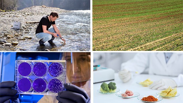 https://metrohm.scene7.com/is/image/metrohm/Collage-industries-electrochemistry-customized-solutions-dropsens?qlt=85&ts=1647626787297&dpr=off