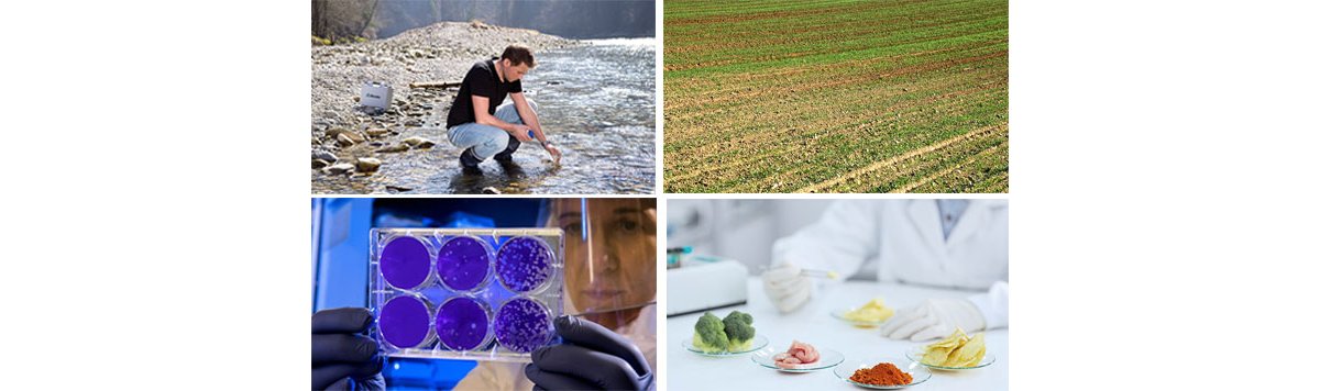https://metrohm.scene7.com/is/image/metrohm/Collage-industries-electrochemistry-customized-solutions-dropsens?qlt=85&ts=1646741862686&dpr=off