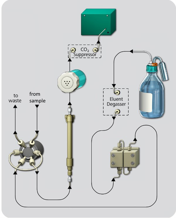Illustration of the flow path of an anion IC.