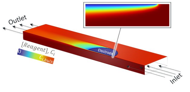 CFC Simulation + Diffusion Layer
