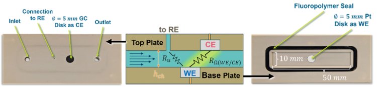 CFC Plates + Scheme