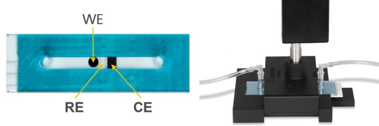 Thin-layer flow-cell SPE (TLFCL-CIR, left) and Raman cell suitable for working in flow conditions (TLFCL-REFLECELL, right).