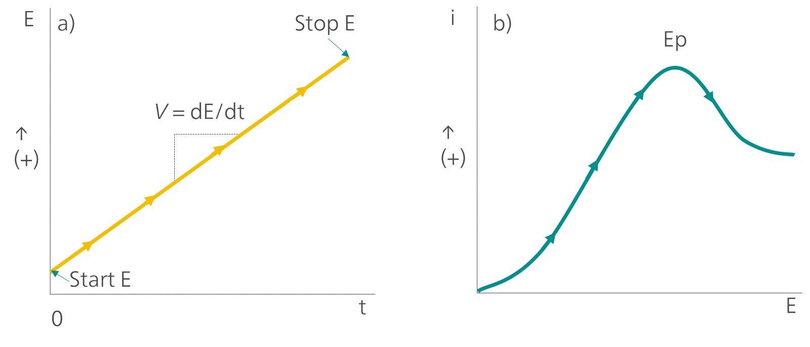 E vs T plot (a) and I vs E plot (b) from a typical LSV experiment. Marked on (a) is the start potential, stop potential, and the scan rate. Marked on (b) is Ep – the peak potential of the redox process under investigation. 