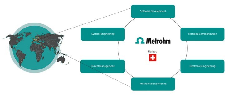 Organisation Bereich Entwicklung