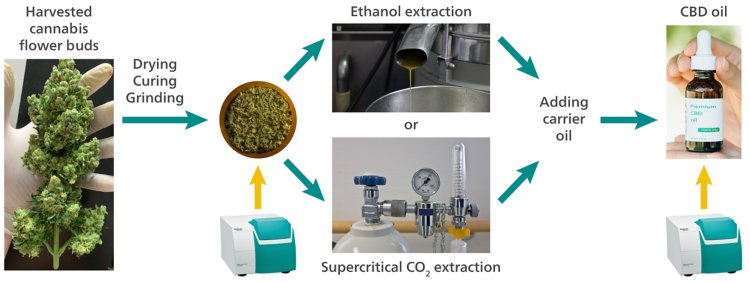 Simplified diagram of the CBD oil production process showing steps where NIRS analysis is especially helpful for quality control.