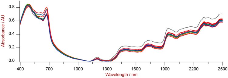 Surová NIR spektra konopí vyplývající z interakce blízkého infračerveného světla s příslušnými vzorky.
