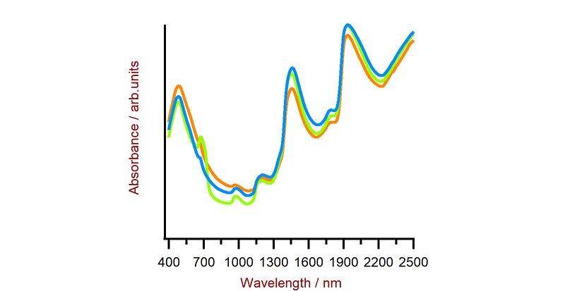 Spectra of human feces samples resulting from the interaction of NIR light with the sample material.