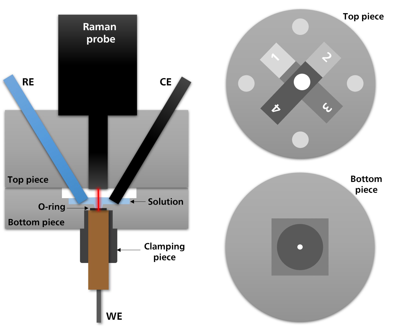 Schematic diagram showing the inner view of the Raman cell for conventional electrodes. Positions 1–4 correspond to recesses with different depths (1, 1.5, 2, and 2.5 mm, respectively) for optimal focal distance between the probe and the WE.