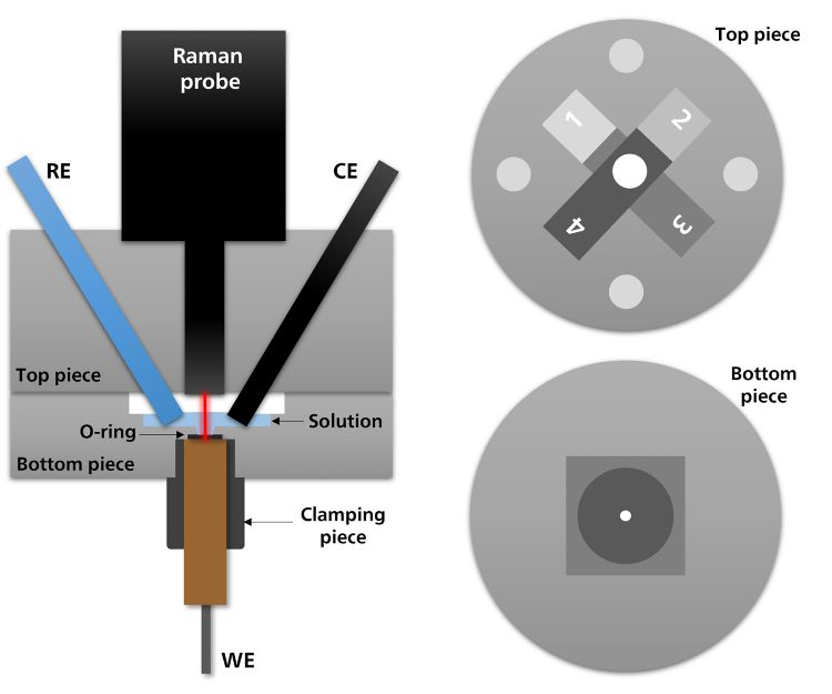 Schematic diagram showing the inner view of the Raman cell for conventional electrodes. Positions 1–4 correspond to recesses with different depths (1, 1.5, 2, and 2.5 mm, respectively) for optimal focal distance between the probe and the WE.