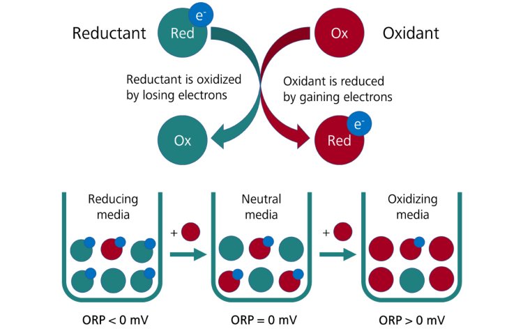 Ilustración del concepto de reacción redox y su relación con el ORP. Cuanto más oxidante se agrega a la solución, mayor es el valor de ORP.