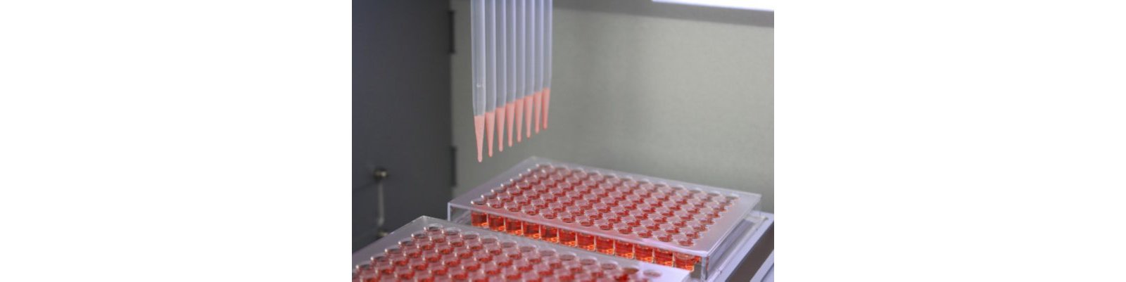 Sample Dosage