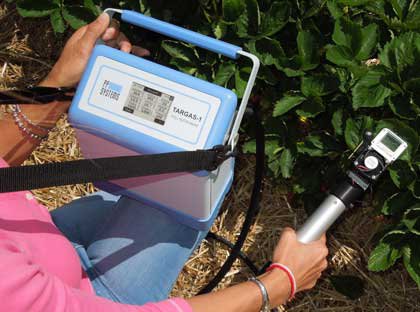 fotosintesis fluorescencia de la clorofila