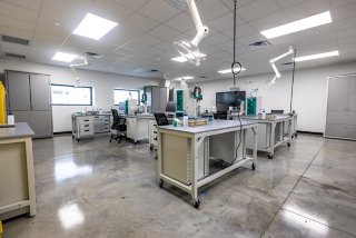 lab