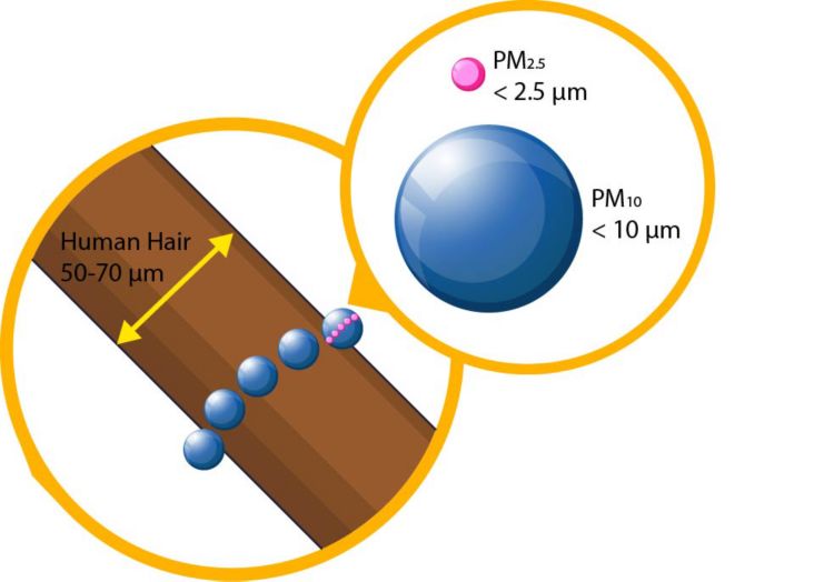 Comparison of particulate matter to the width of as human hair.