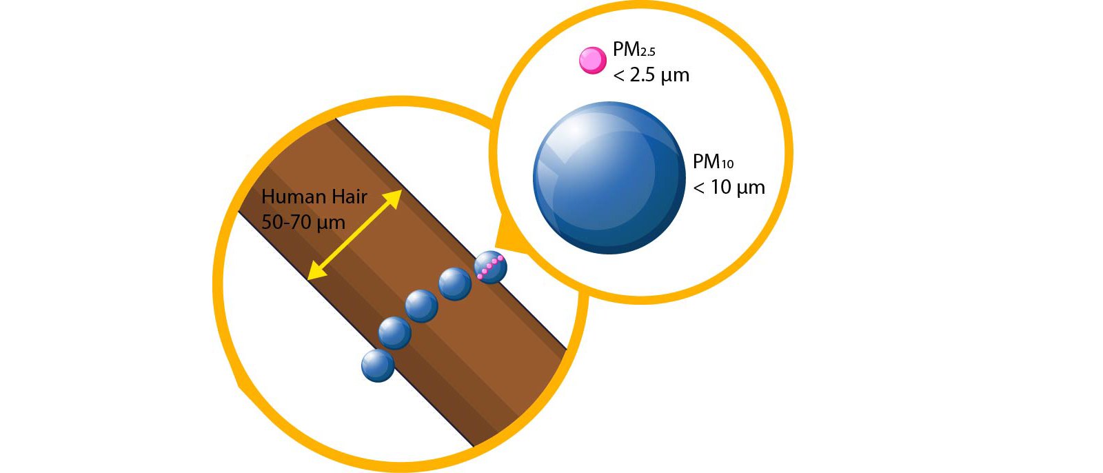 Particulate matter size comparison. Adapted from the US EPA.