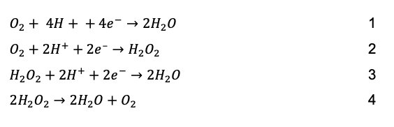 oxygen reduction reaction (ORR)