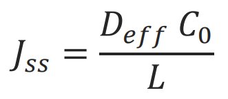 Conceptos fundamentales