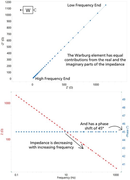 Nyquist (top) and Bode (bottom) plots for a Warburg  element (W)