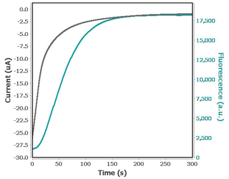 First step potential of a multi-pulse  chronoamperometry experiment