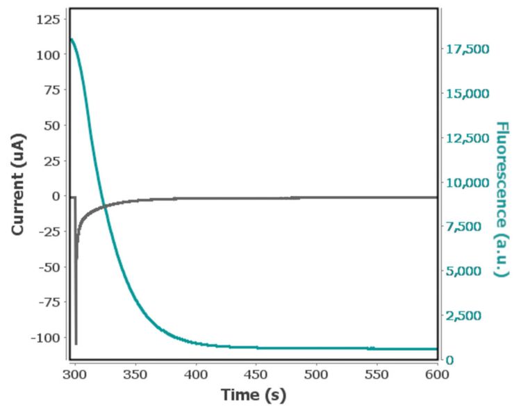  Zweites Schrittpotential eines Multipuls-Chronoamperometrie-Experiments 