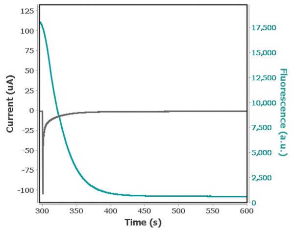Second step potential of a multi-pulse  chronoamperometry experiment