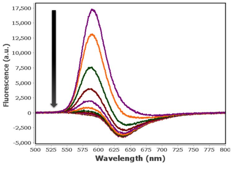 Fluoreszenzspektren, aufgezeichnet während des zweiten Potentialschritts des dreiteiligen Experiments.